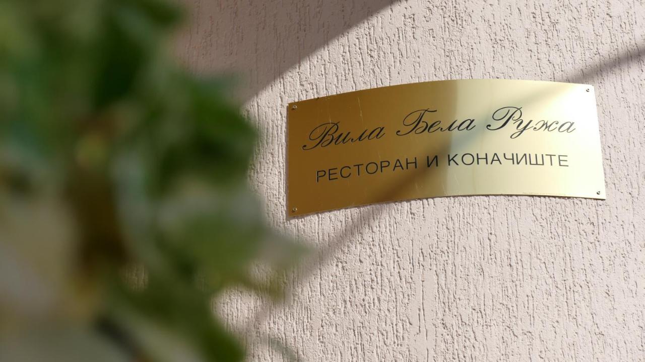 B&B Vila Bela Ruza Сремська Митровиця Екстер'єр фото